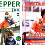 HOTPEPPER長岡　2月号　掲載のお知らせ