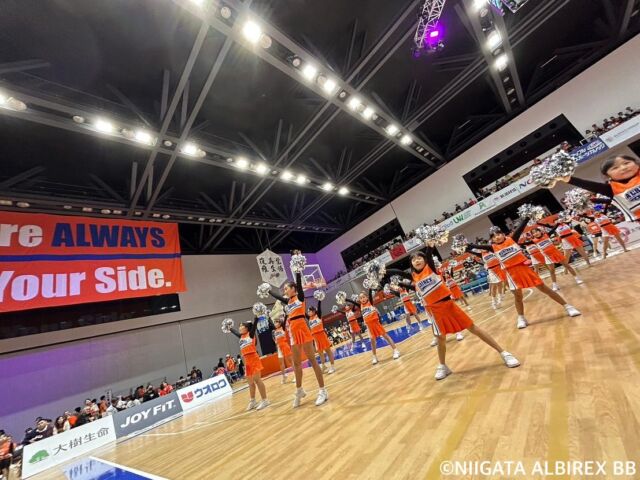 *

2024.11.16.sat

#アオーレ長岡 にて

@niigataalbirexbb_official 
vs #金沢武士団 戦
の応援パフォーマンス🦢🏀🧡💙🩵🧡💙🩵

#bleague
#バスケ
#アルビレックスチアリーダーズ 
 #アルビチア
 #新潟アルビレックスBB
  #バスケットボール
 #新潟