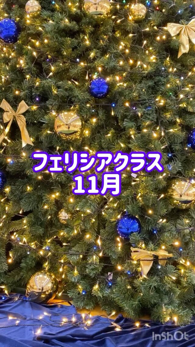 💐フェリシアクラス💐

プレ･キッズバージョンで振り入れをしたスクールダンスですが、今日のレッスンでは少し難易度の上がるステップクラスバージョンの振りを少し練習してみました👏
ピルエットが振りに入ってくるのでまずはピルエットだけを練習…
そしてカウントでゆっくり踊って…
いざ曲をかけると速さにびっくり😂

ゆっくり覚えていきましょう✌️😆

また来月もよろしくお願いします✨️٩(ˊᗜˋ*)و

✻*˸ꕤ*˸*⋆。✻*˸ꕤ*˸*⋆。✻*˸ꕤ*˸*⋆。
フェリシアクラス
デッキィ401 地下1階
アルビレックスチアリーダーズスタジオ
第1･第3火曜 11:10〜12:10

体験レッスン･見学ウエルカムです🥰

#niigata #チアダンス #新潟 #大人 #習い事 #健康 #運動 #アルビ #チアリーダー #チア #大人チア